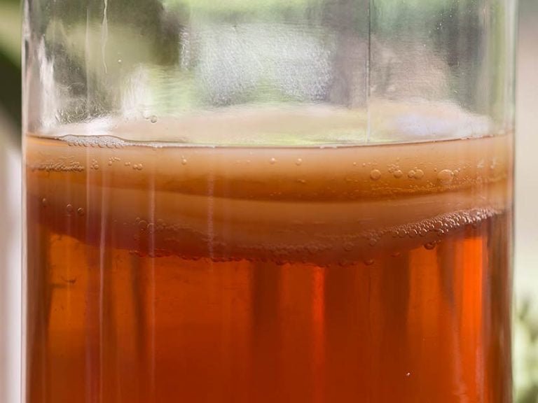 Help! My Kombucha tastes like vinegar. - Homemade Kombucha Co.