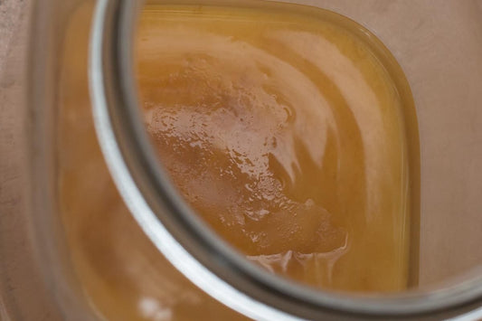 My Kombucha Brew Is Taking Forever! - Homemade Kombucha Co.