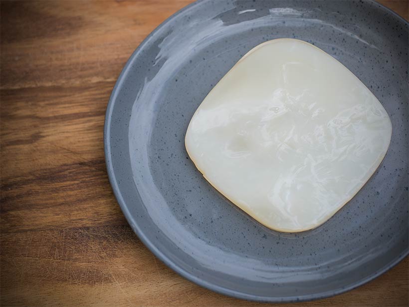 What is a Kombucha SCOBY & How do I get one? - Homemade Kombucha Co.