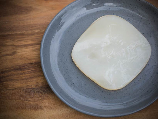 What is a Kombucha SCOBY & How do I get one? - Homemade Kombucha Co.