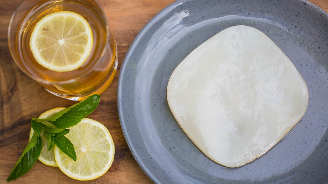 What to know before starting your own Homemade Kombucha - Homemade Kombucha Co.