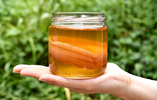 Why Homemade Kombucha Should be Your Go-To Drink - Homemade Kombucha Co.