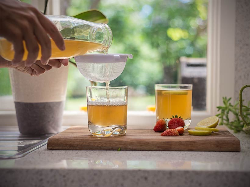 kombucha starter kits | kombucha starter kits australia | make kombucha