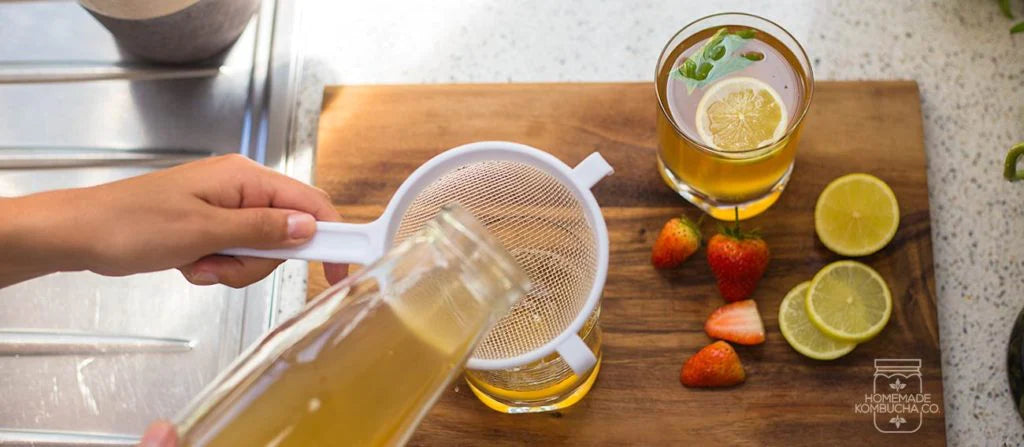 kombucha starter kit | making kombucha | brew kombucha