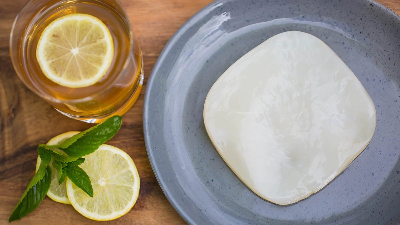 perfect kombucha scoby | lemon kombucha | scoby on plate