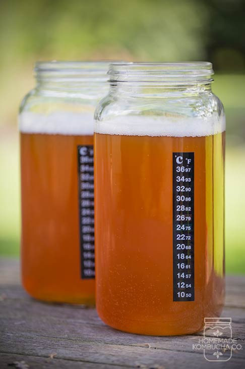 Kombucha Thermometer - Homemade Kombucha Co.