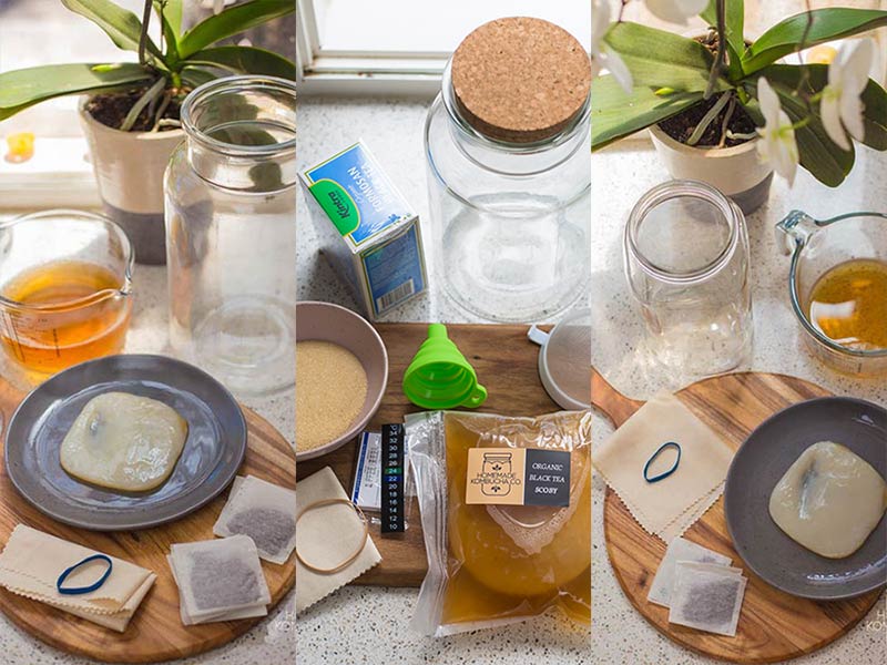 How to choose the right kombucha kit for you? - Homemade Kombucha Co.