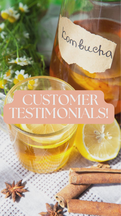 Deluxe Homemade Kombucha Starter Kit - 3.7L